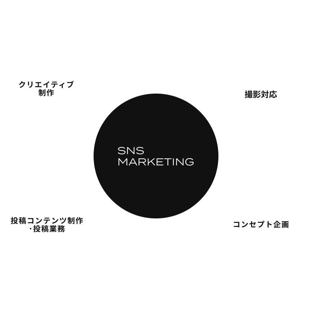 SNS MARKETING グラフ